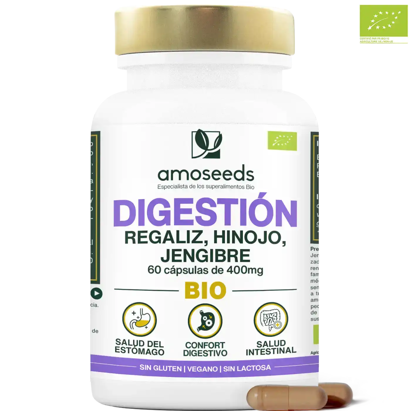 Desintoxicación